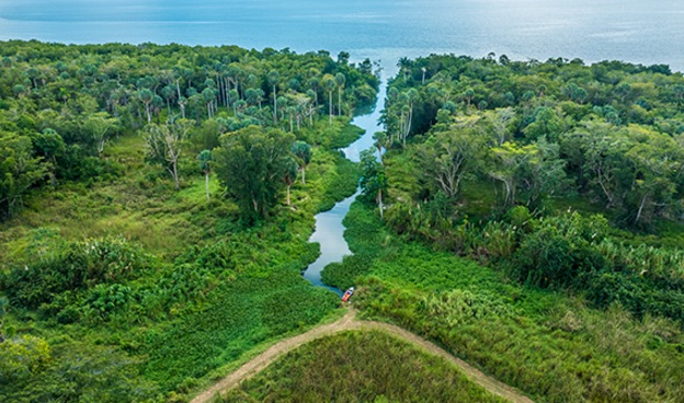 South Coast: Paraíso natural