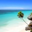 Test Ficticio Mallorca