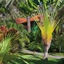 Hacienda San Jorge