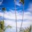 Majestic Colonial Punta Cana -  All Inclusive