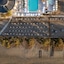 Domes Aulus Zante, Autograph Collection