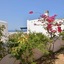 Paradisia Villas