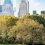 JW Marriott Essex House New York