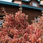 Hosteria Hainen