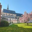 Martin's Klooster
