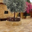 Hayat Zaman Hotel & Resort