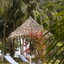 Bayview Beach Resort