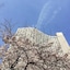 Hilton Tokyo