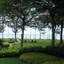 Miri Marriott Resort & Spa