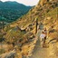 Home2 Suites By Hilton Scottsdale Old Town