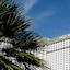 Park Mgm Las Vegas