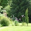 Blounts Court Farm