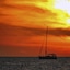 The Beachcomber Beach Resort Hotel