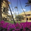 Halekulani Hotel