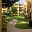 Courtyard By Marriott Orlando International Dr   Conv Cntr