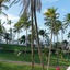 Blue Tree Premium São Luís