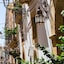 Alla Giudecca