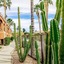 Holiday Inn Club Vacations Scottsdale Resort By Ihg