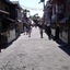 Begonville Apart