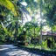 Diamond Bay Resort And Spa