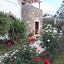 Annita's Village Hotel