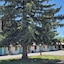 The L Motel