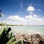 The Sebel Noosa