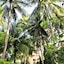 Sea Star Resort Phu Quoc