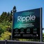 Best Western Braeside Rotorua