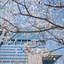 Holiday Inn Shanghai Hongqiao West By Ihg