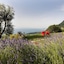 Lefay Resort & Spa Lago Di Garda