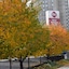 Best Western Plus City Center