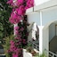 Apollon Hotel Apartments