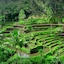 Puri Dalem Cottages