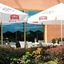 Business Hotel Vega