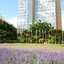 Airam Brasilia Hotel