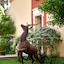 Best Western Saint Louis