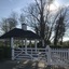 The White Swan