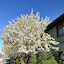 Super 8 By Wyndham Baxter Brainerd Area
