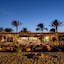 Desert Rose