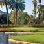 Orange Tree Resort