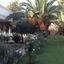 Hotel Kyriaki