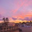 Riad Reda