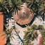 Flamingo Hotel & Spa - Pet Friendly