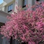 Hampton Inn & Suites Cincinnati Union Centre