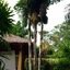 Palm Garden Resort
