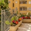 Hotel Domomea