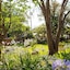 Plaza San Antonio Hotel & Spa, Autograph Collection