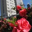 San Diego Express Aparecida