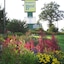 Branson's Best Motel